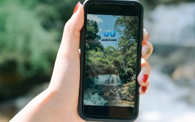 Por Qué Debes Estar en TikTok y Reels: Una Perspectiva para Empresas y Emprendedores